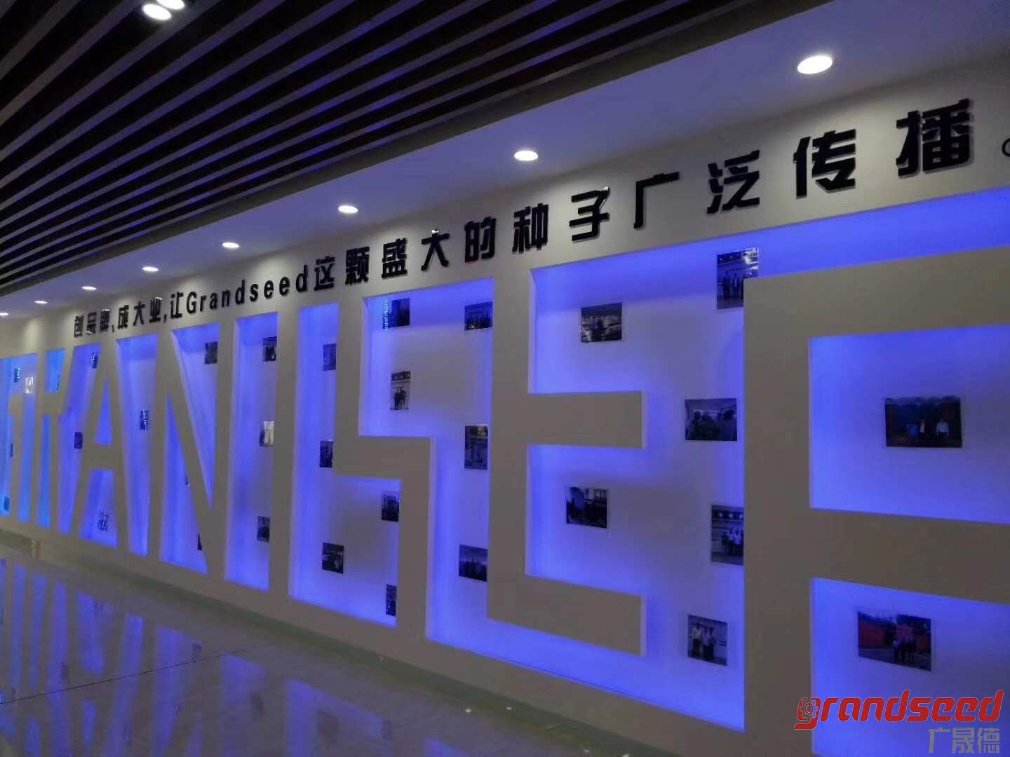 黄瓜视频成年污下载大门