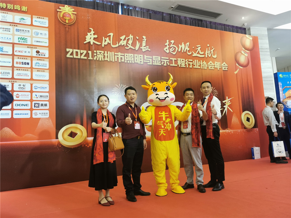 黄瓜视频成年污下载精英照明协会年会合影